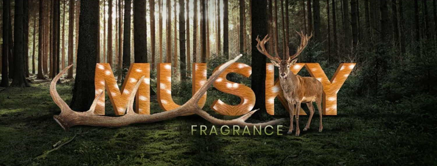 All about Musky fragrance notes and how to select the right perfume with a musky fragrance note.