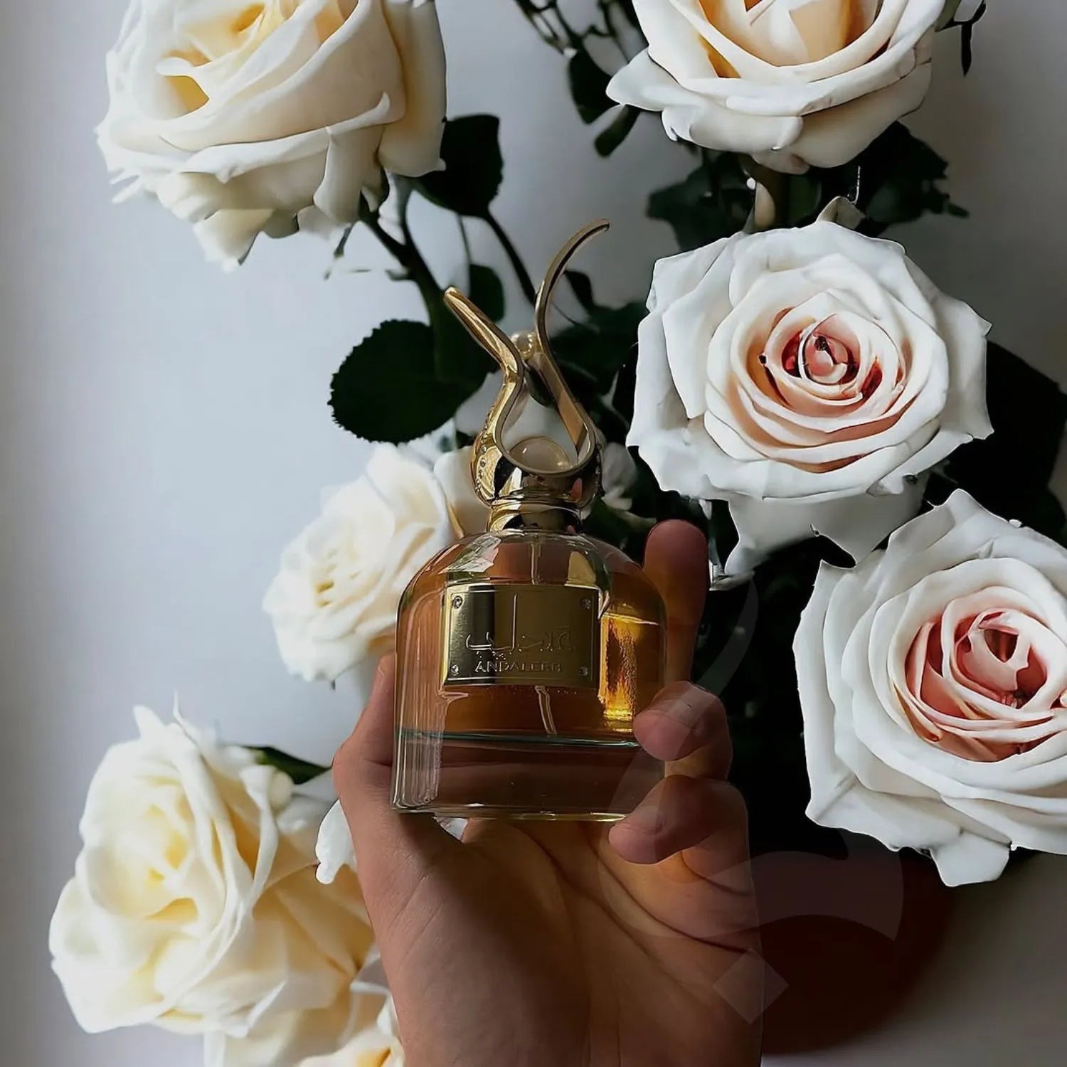 Andaleeb Perfume Post