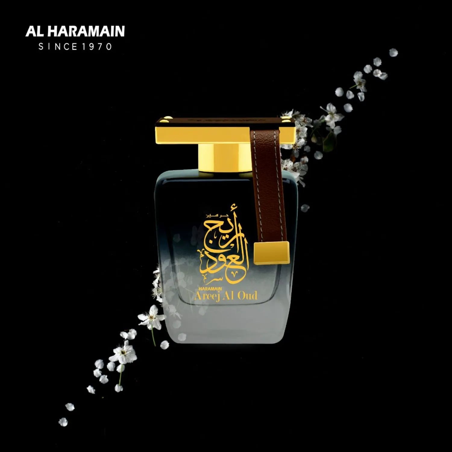 Areej Al Oud Perfume Bottle Display
