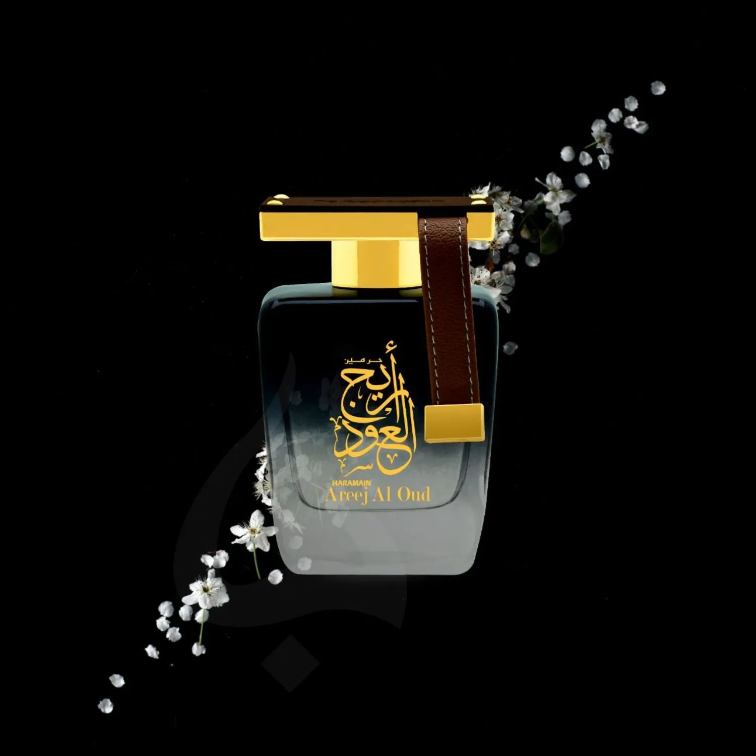 Areej Al Oud Perfume Picture