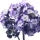 Heliotrope Fragrance Perfumes